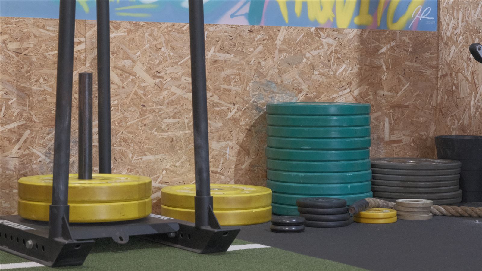 My Workout Studio